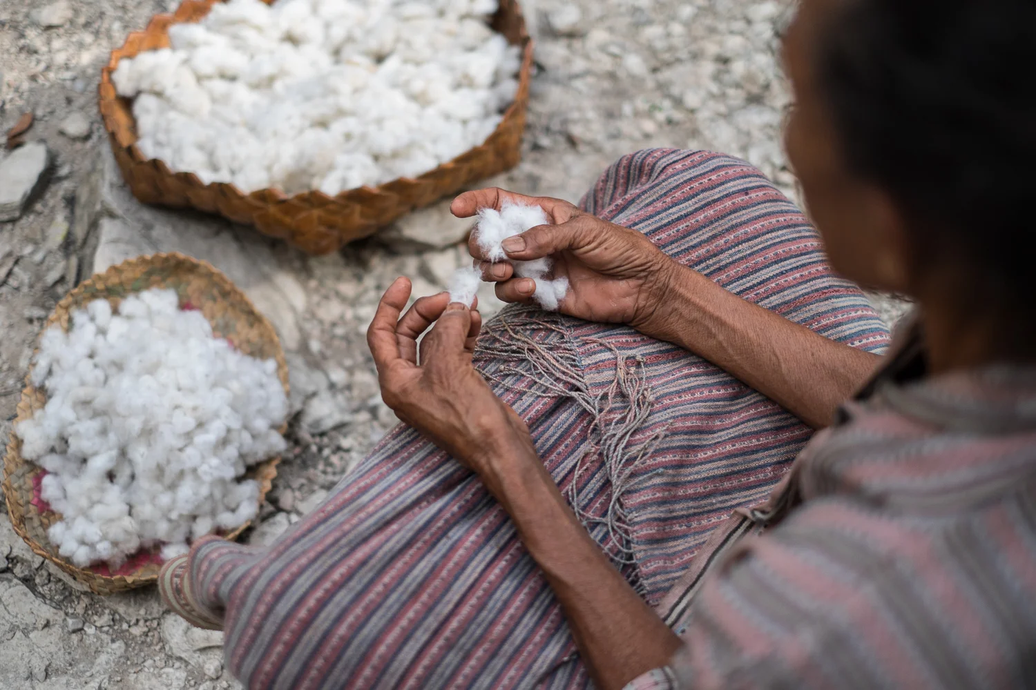 SqSp_DSW_West.Timor_20150428__XT20727.jpg