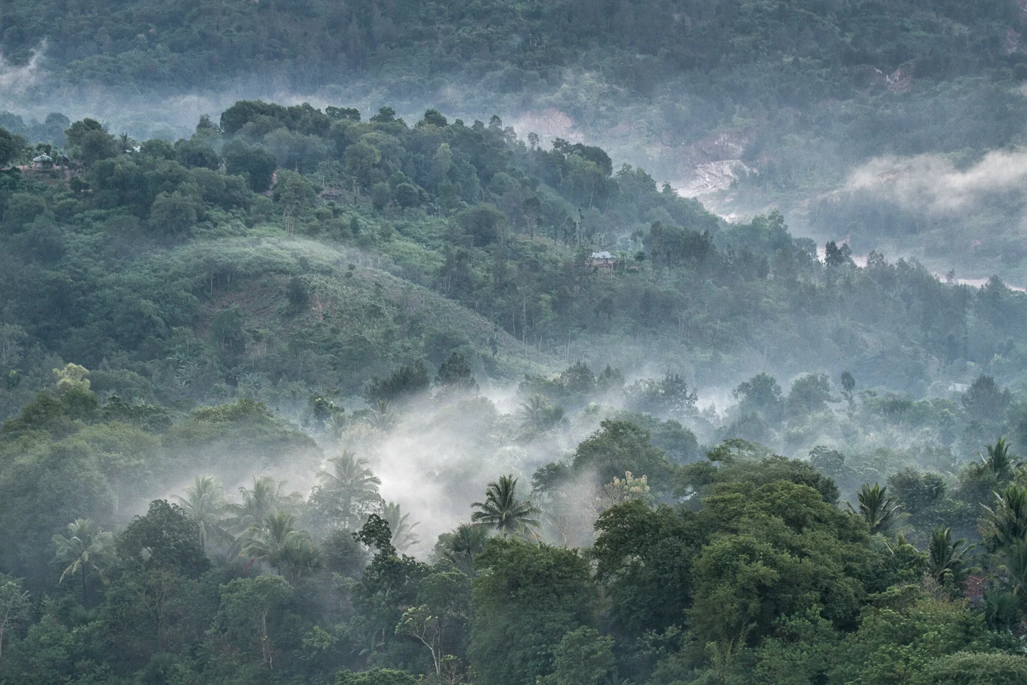 Morning Mist