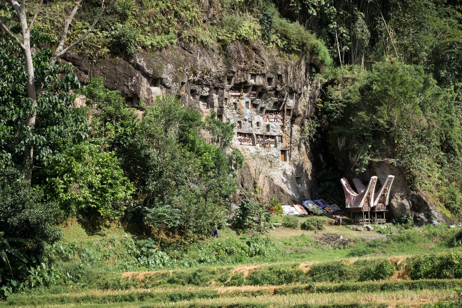 Tana Toraja_20160713__XT12285-Edit.jpg