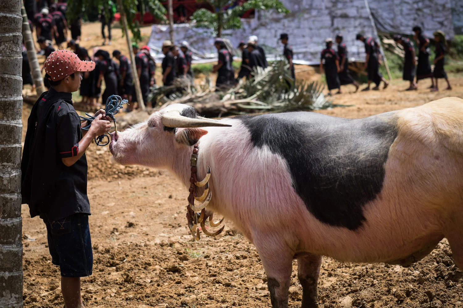 Tana Toraja_20160713__XT12333.jpg