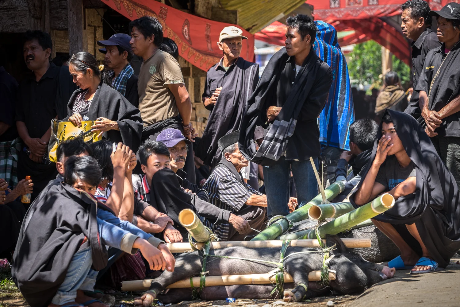 Tana Toraja_20160714__XT12532.jpg