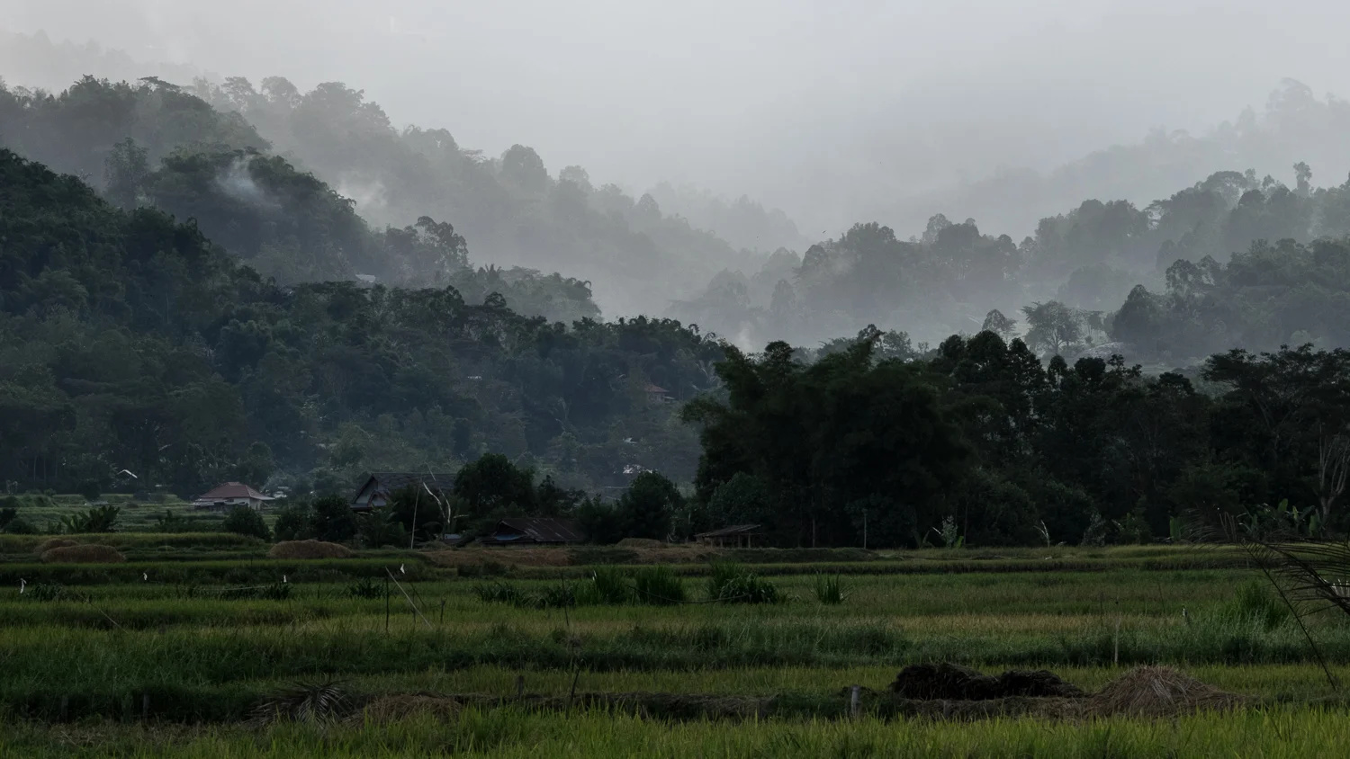 Tana Toraja_20160714__XT13027.jpg