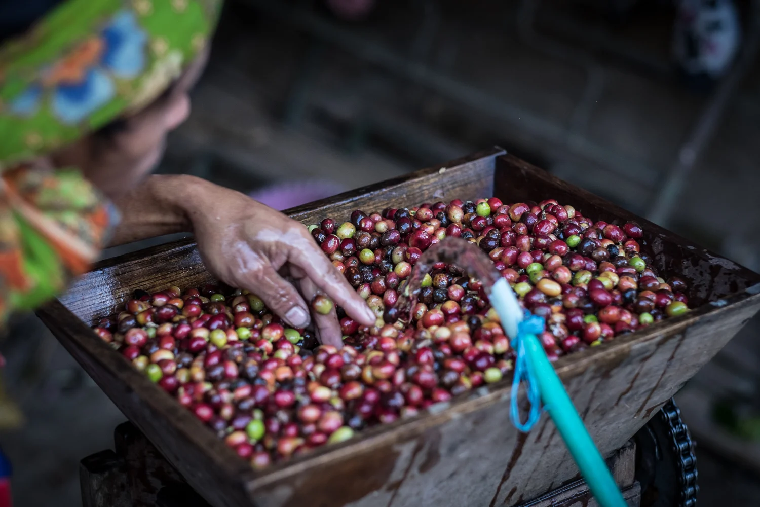 Tana Toraja_20160715__XT13093.jpg