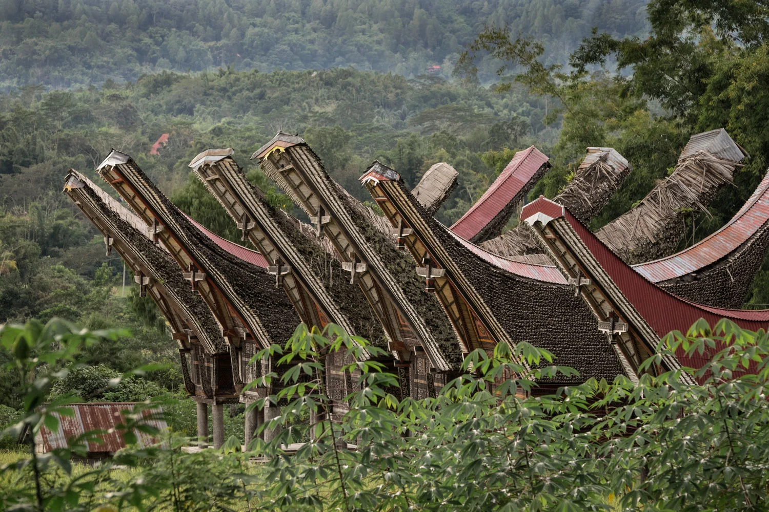 Tana Toraja_20160713__XT12399.jpg