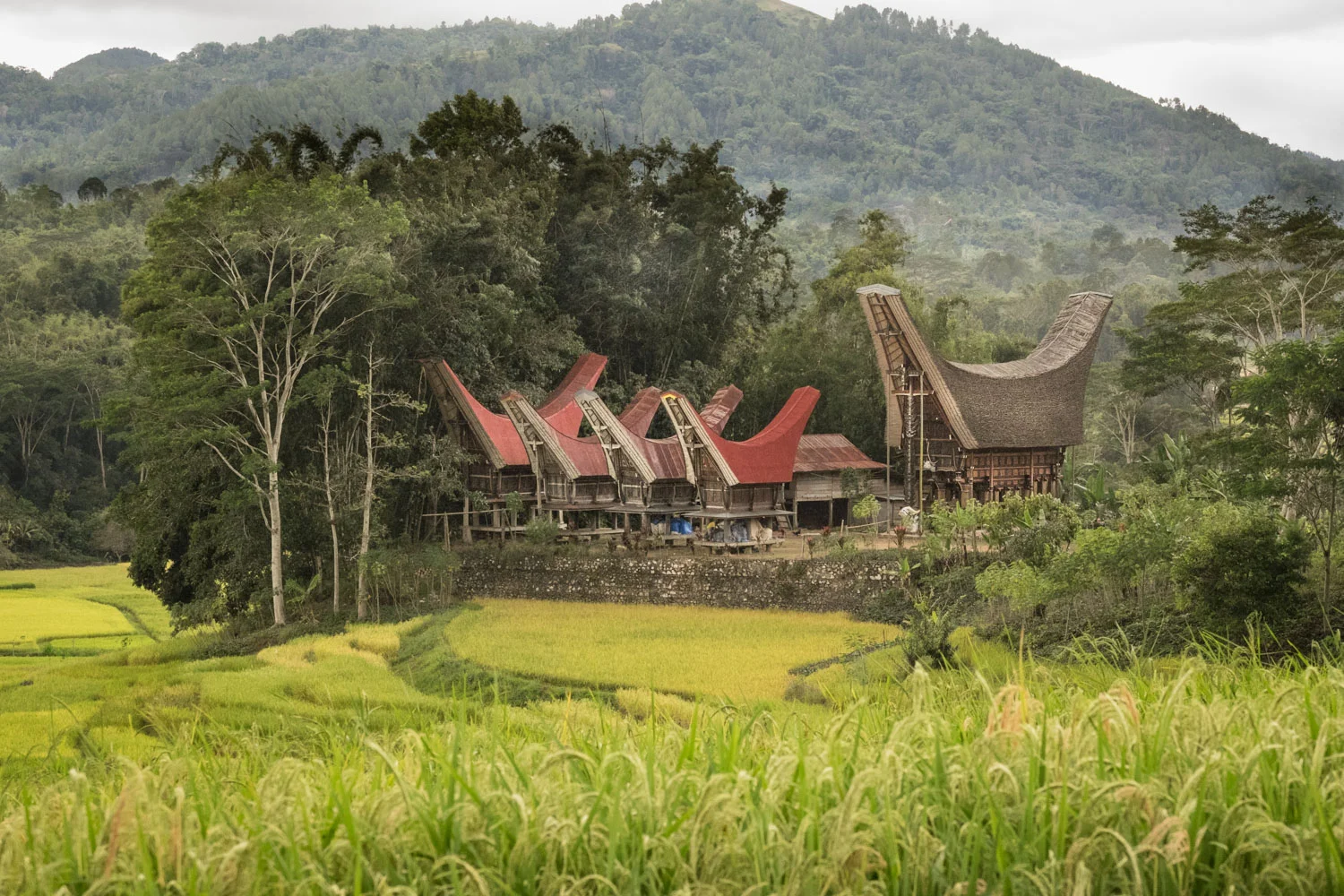 Tana Toraja_20160713__XT12405.jpg