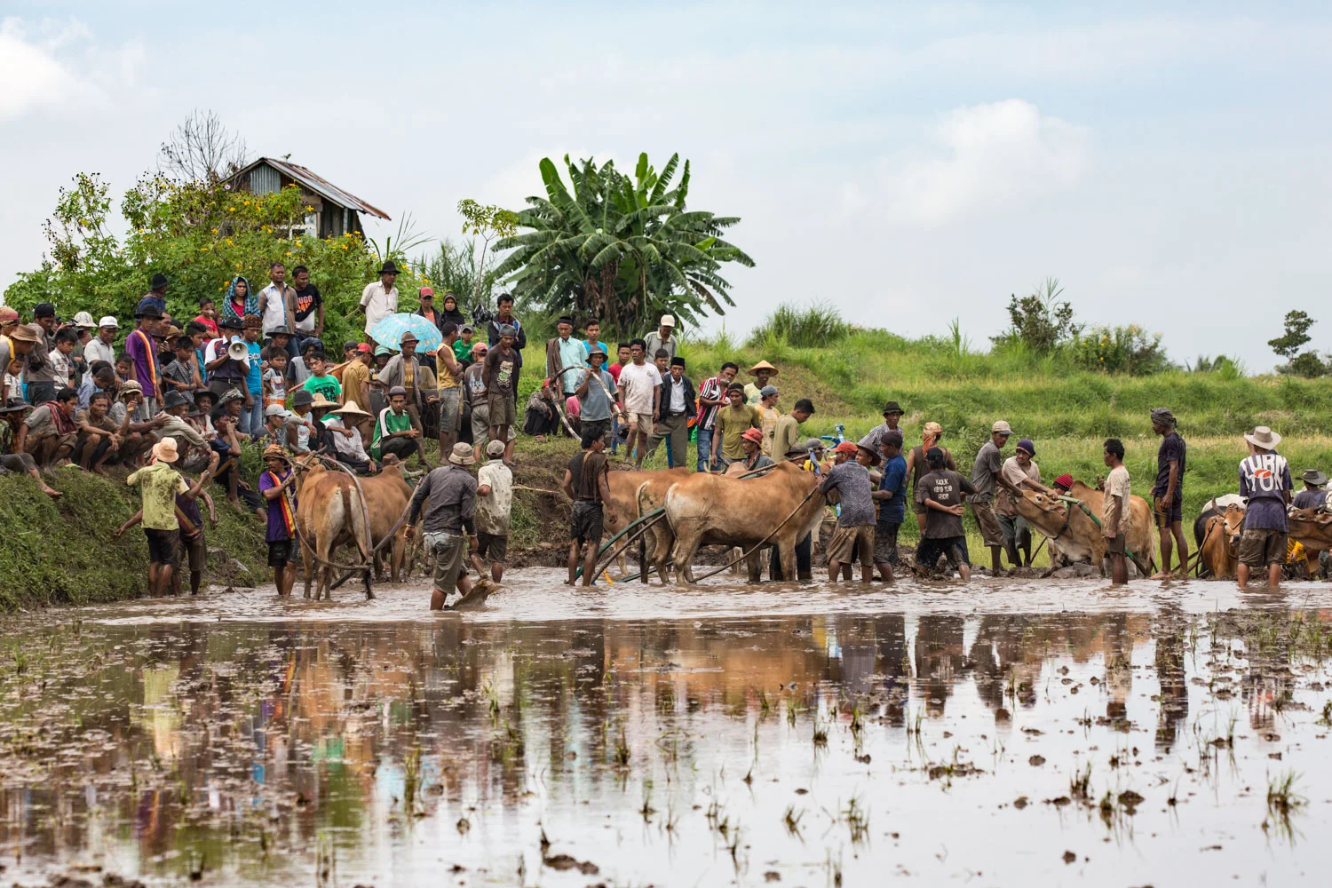 DSW_Padang_20150530__G9A7289.jpg