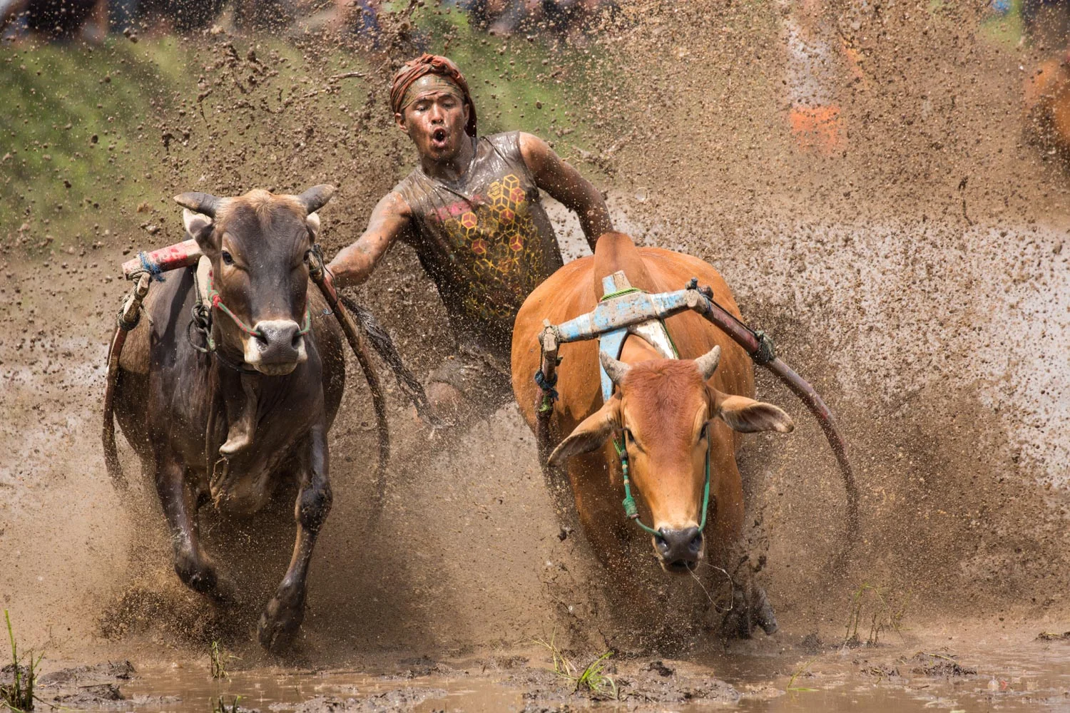 DSW_Padang_20150530__G9A7407.jpg