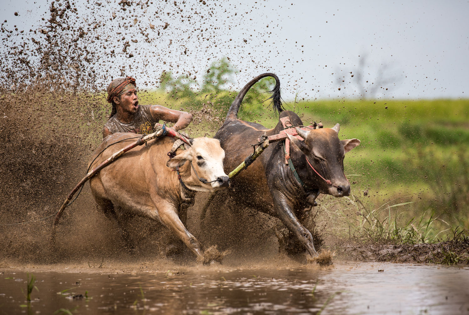 DSW_Padang_20150530__G9A7668.jpg