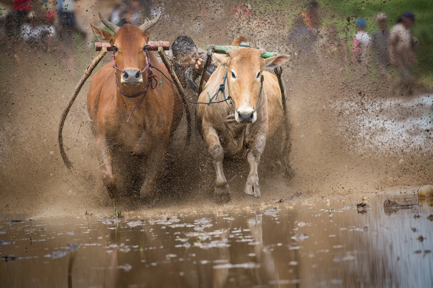 DSW_Padang_20150530__G9A8122.jpg