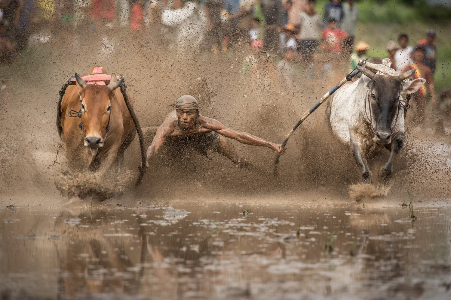 DSW_Padang_20150530__G9A8181.jpg