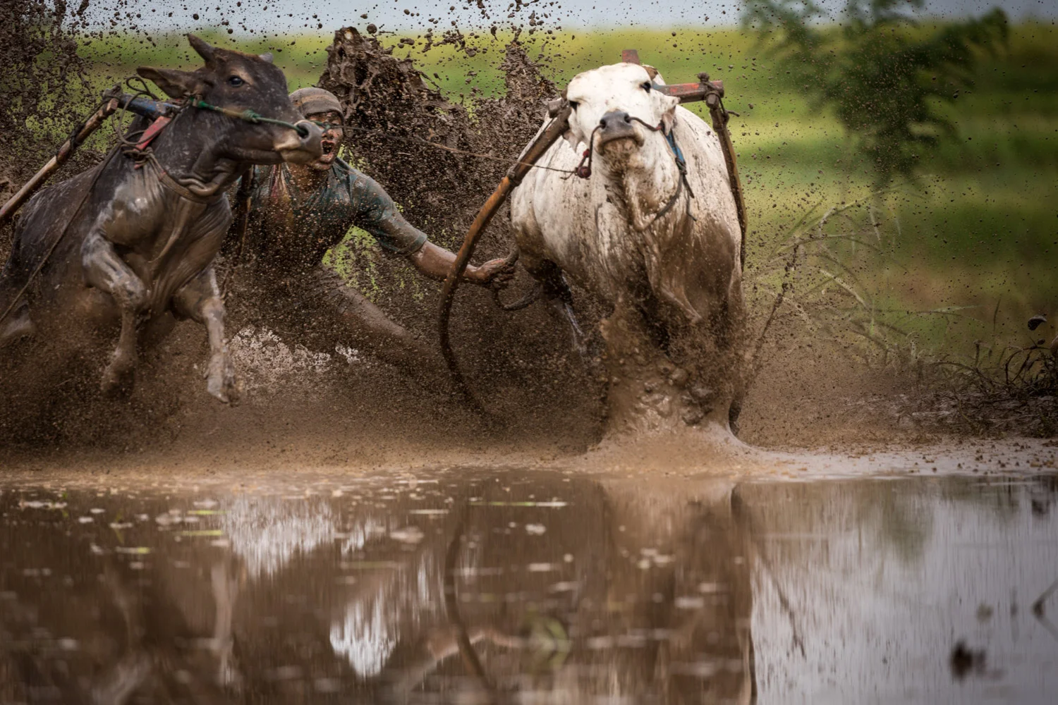 DSW_Padang_20150530__G9A8323.jpg