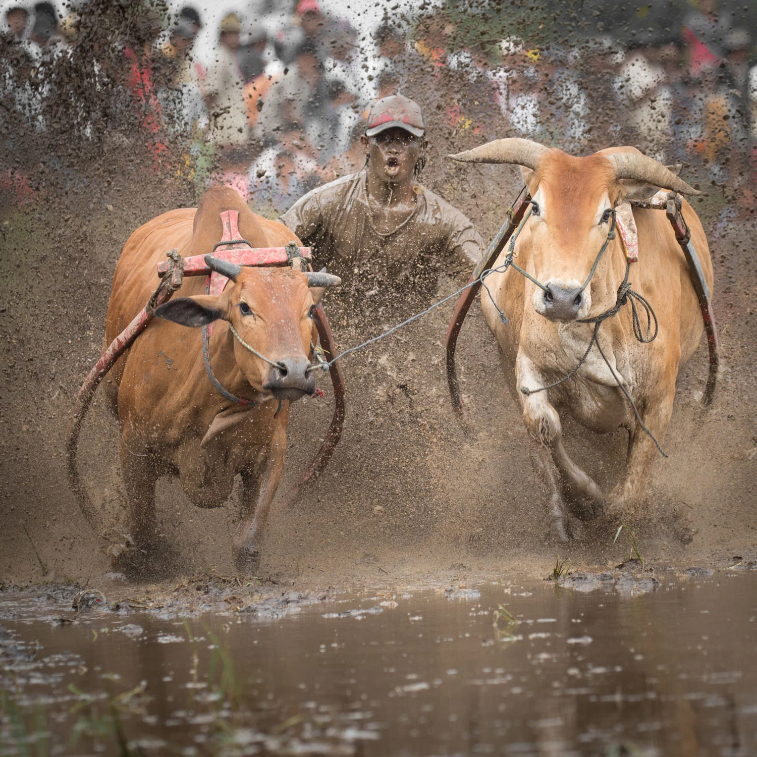 DSW_Padang_20150530__G9A8430.jpg