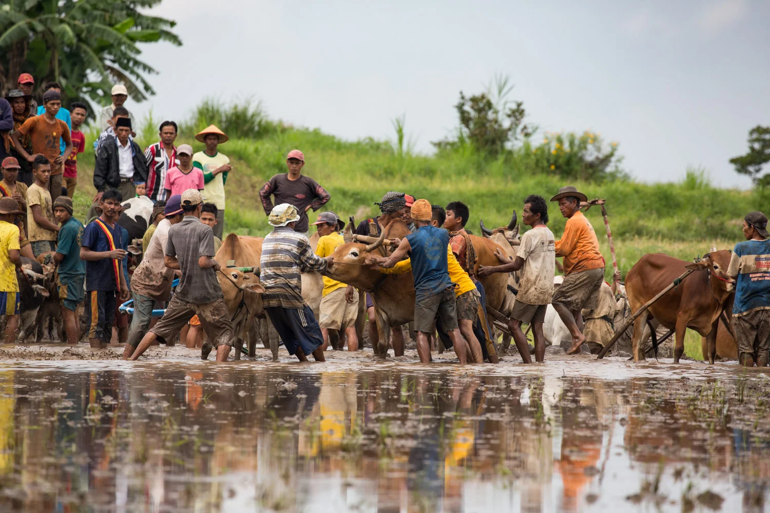 DSW_Padang_20150530__G9A7316.jpg