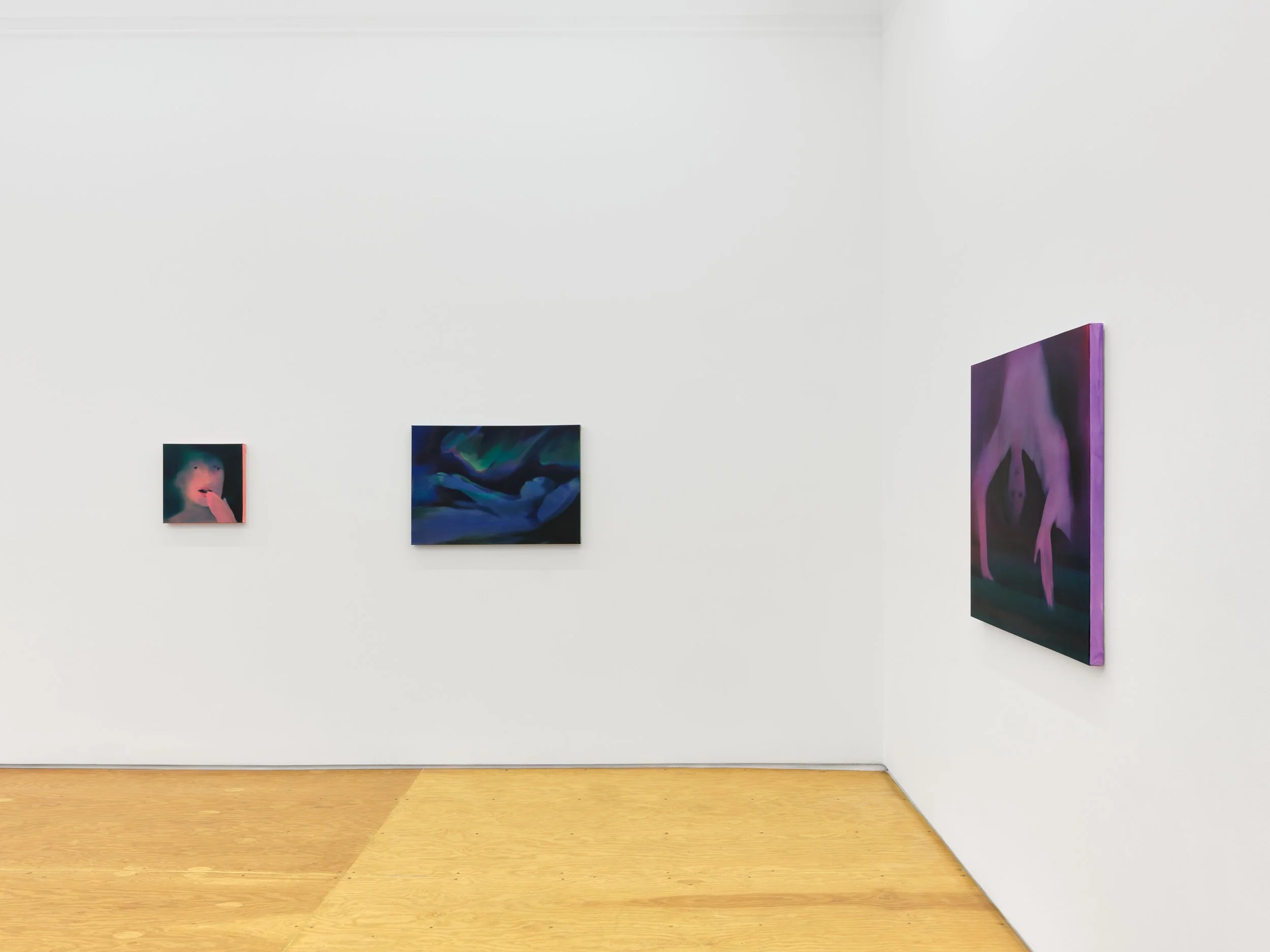 Installation view, Cathleen Clarke, Episodes, 2026, 04.jpg