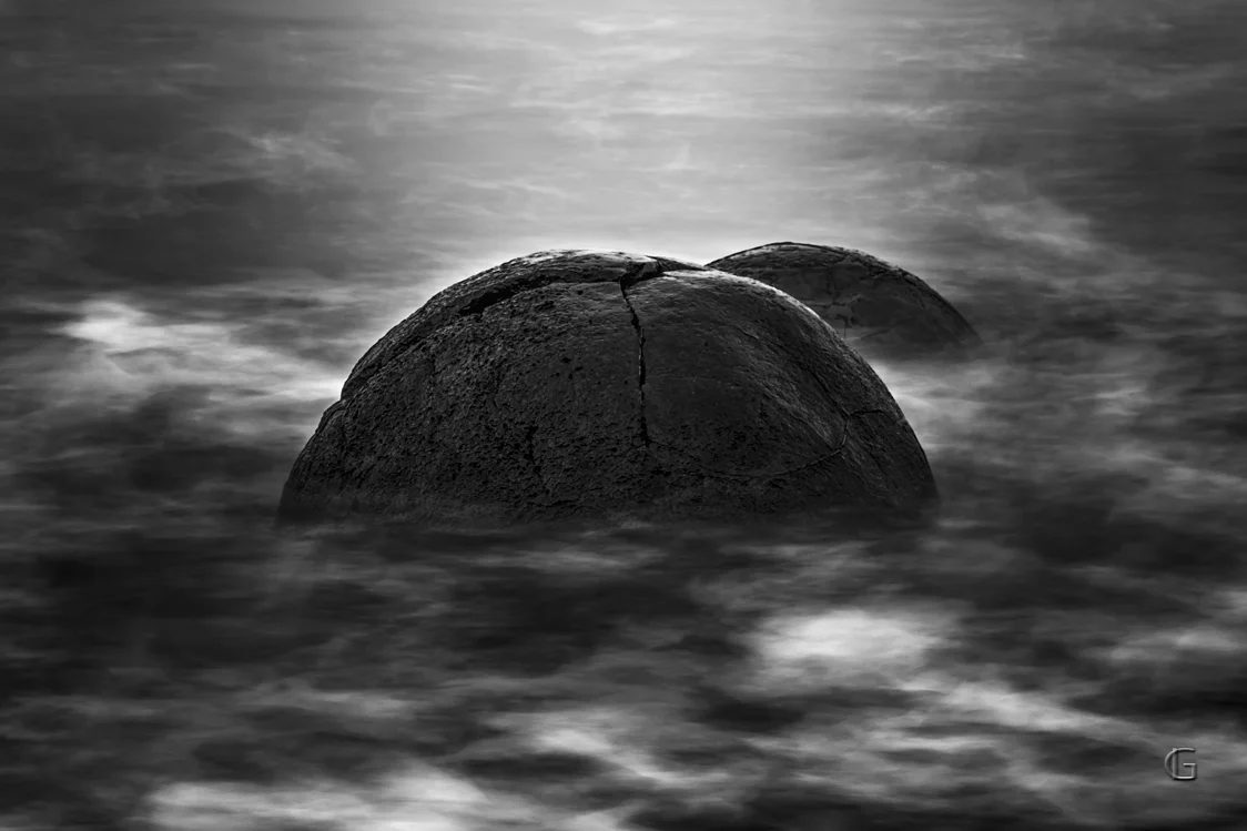 2018 - 13th Black and White Spider Awards Fine Art Nominee We Are Not Alone