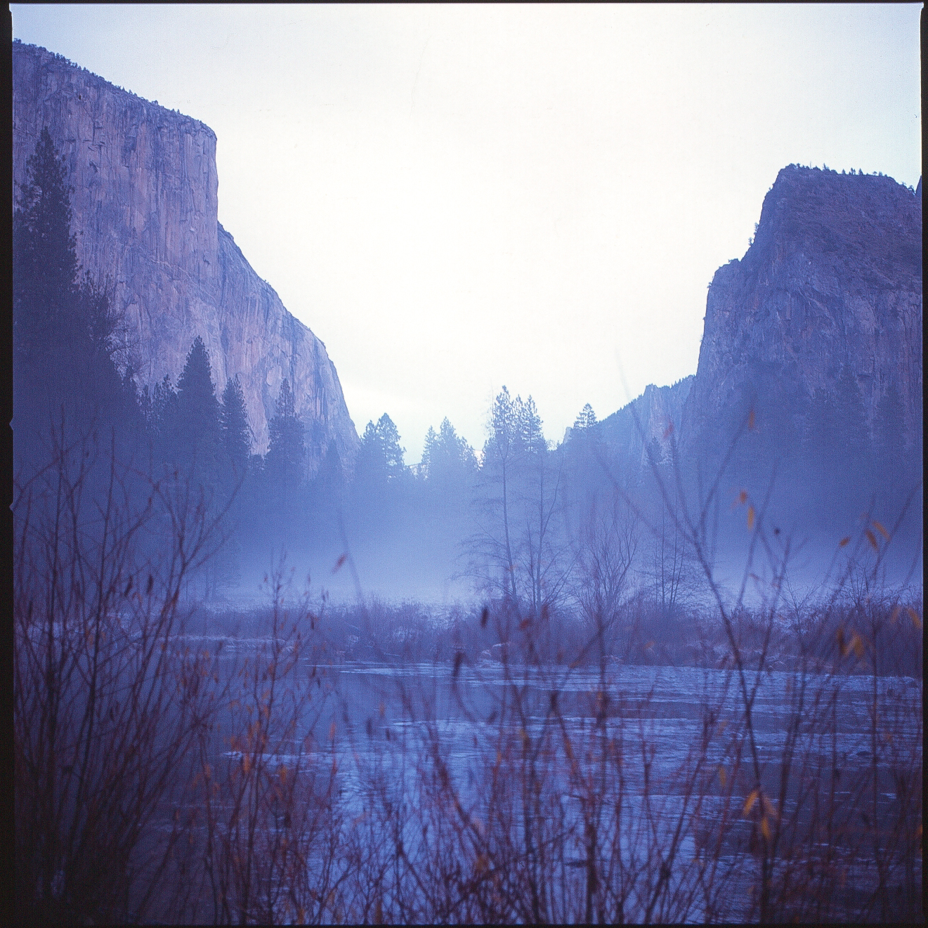 Yosemite Provia RDP-1.jpg