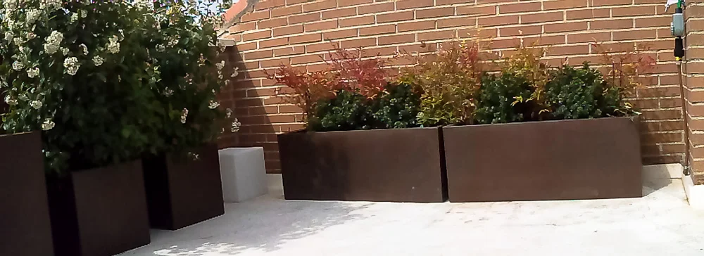 2014-03-19 12.34.41.JPG