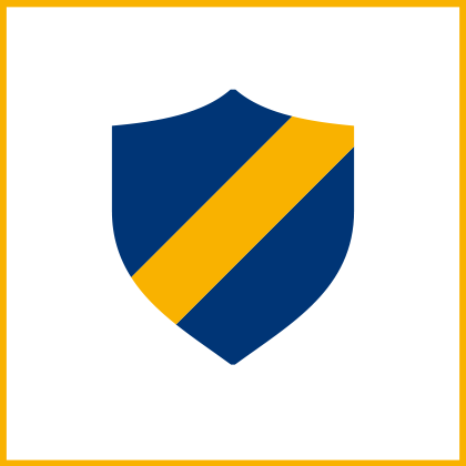 icon-beratung-vereine-gelb.png