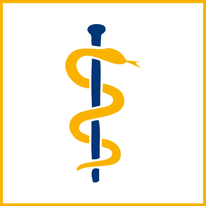 icon-beratung-aerzte-gelb.png