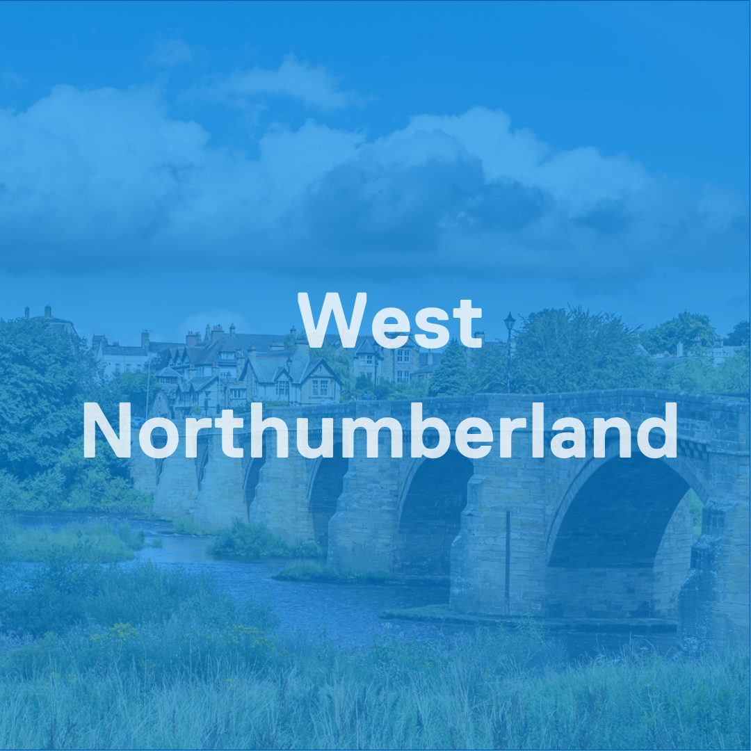 Play now area thumbnail (5).png