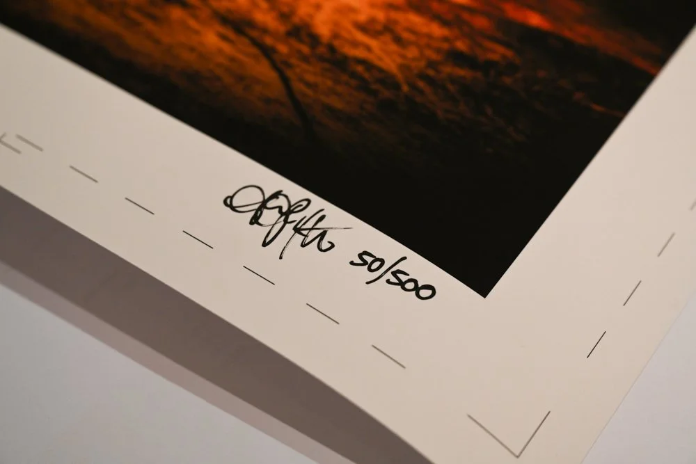 Z72_9150.jpg