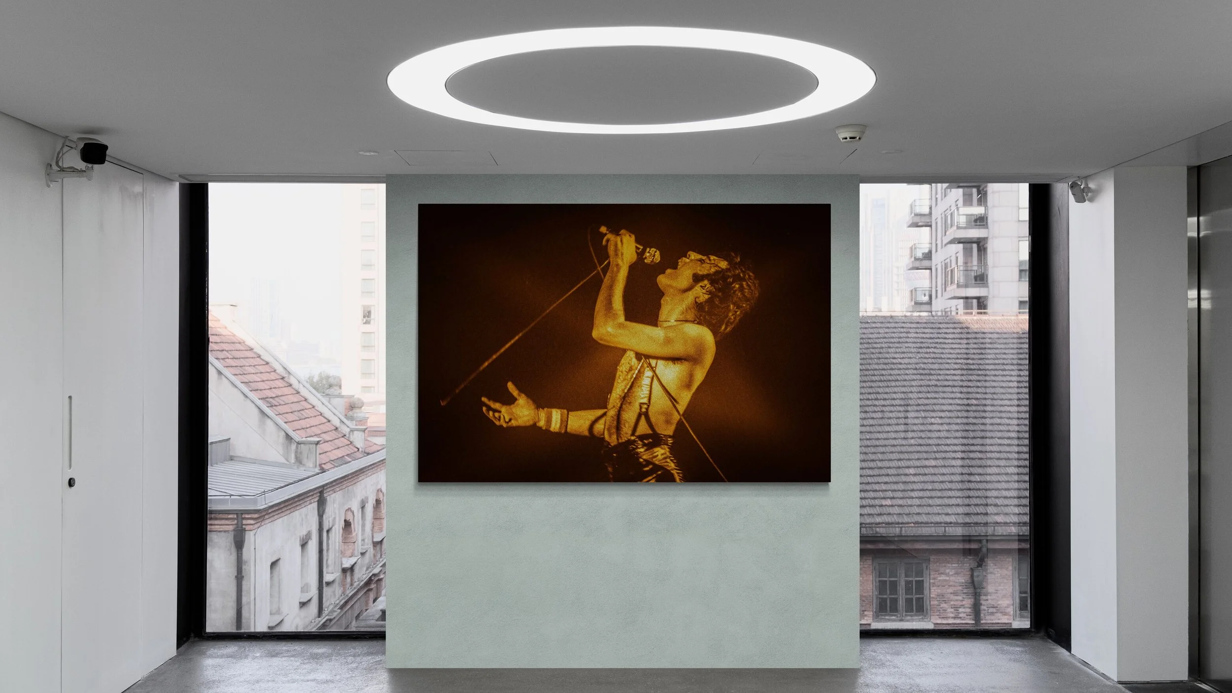 Freddie Mercury Gold Ultra _wall.jpg