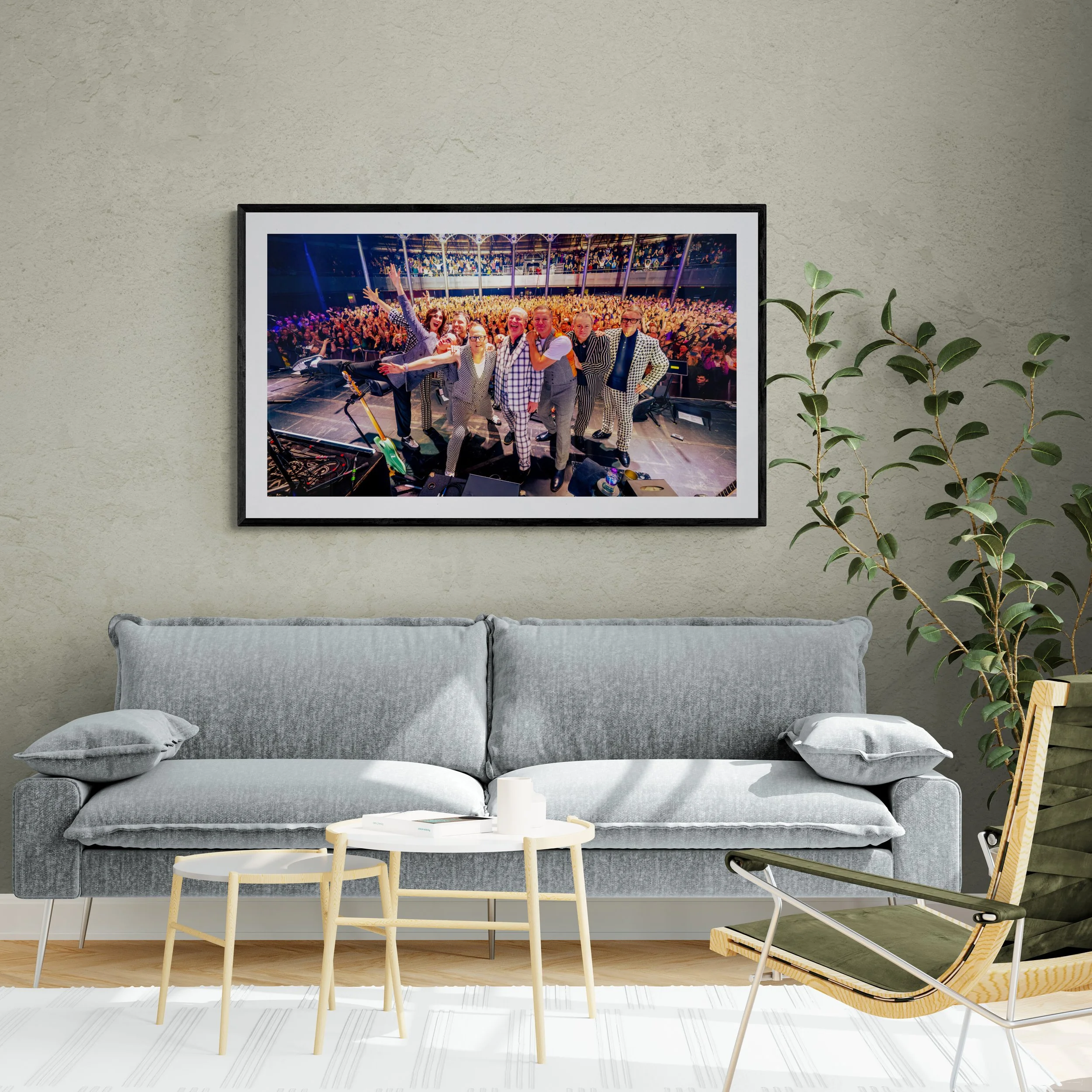 sunlit-living-room-with-large-plant.jpg