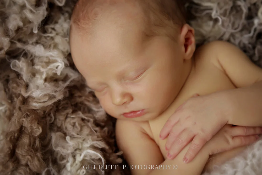 gill_flett_photo_0003.jpg