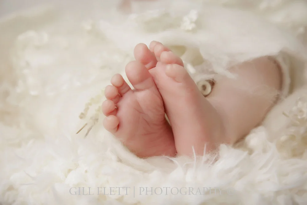 gill_flett_photo_0011.jpg