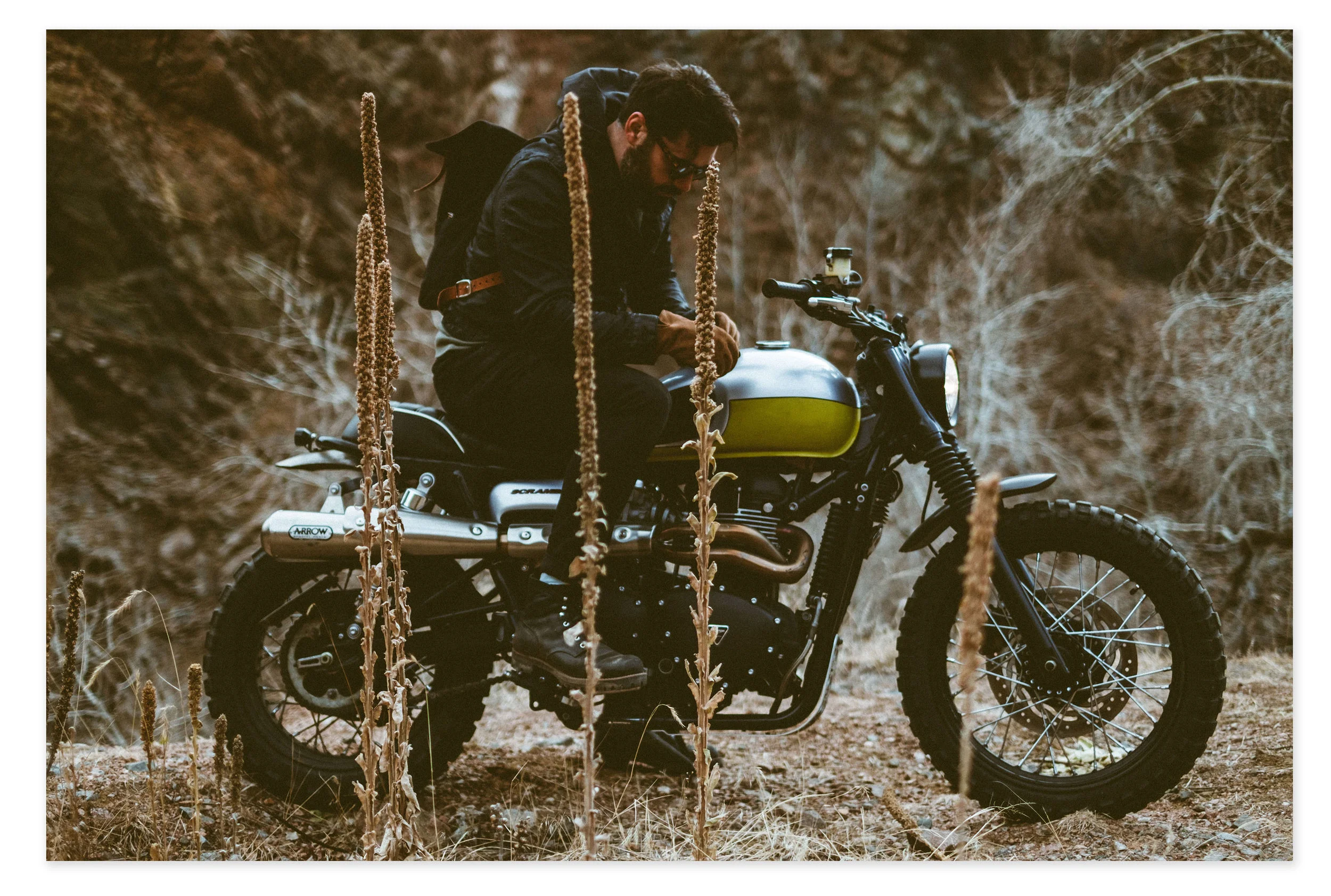 moto.jpg