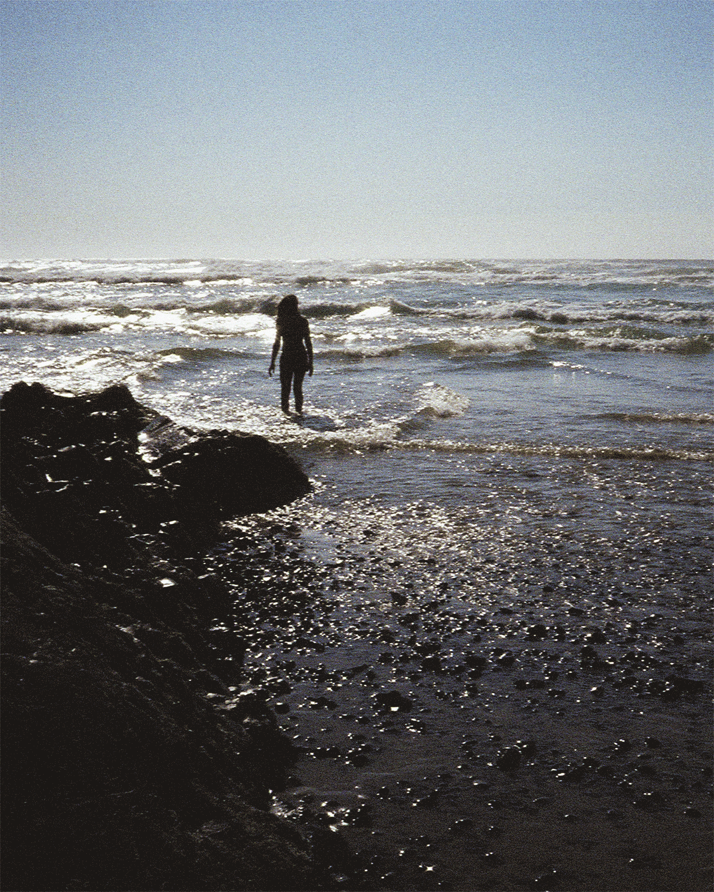 molly-strohl_img049_low.gif