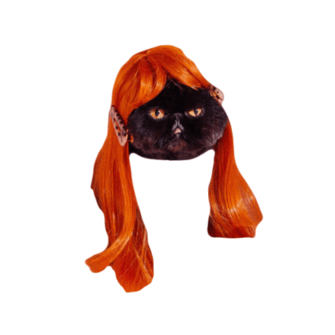 MuadDib-thecat.gif