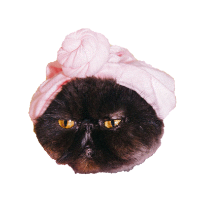 giphy-9.gif