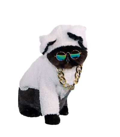 giphy-10.gif