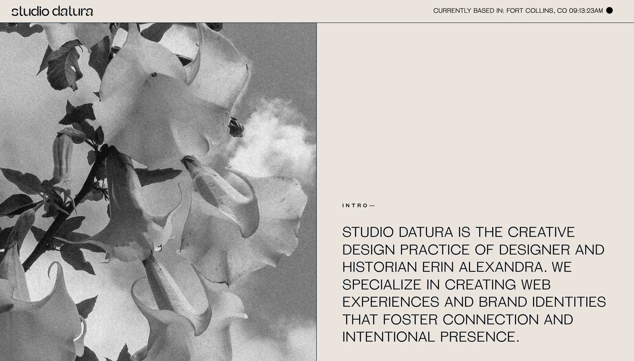 Studio Datura