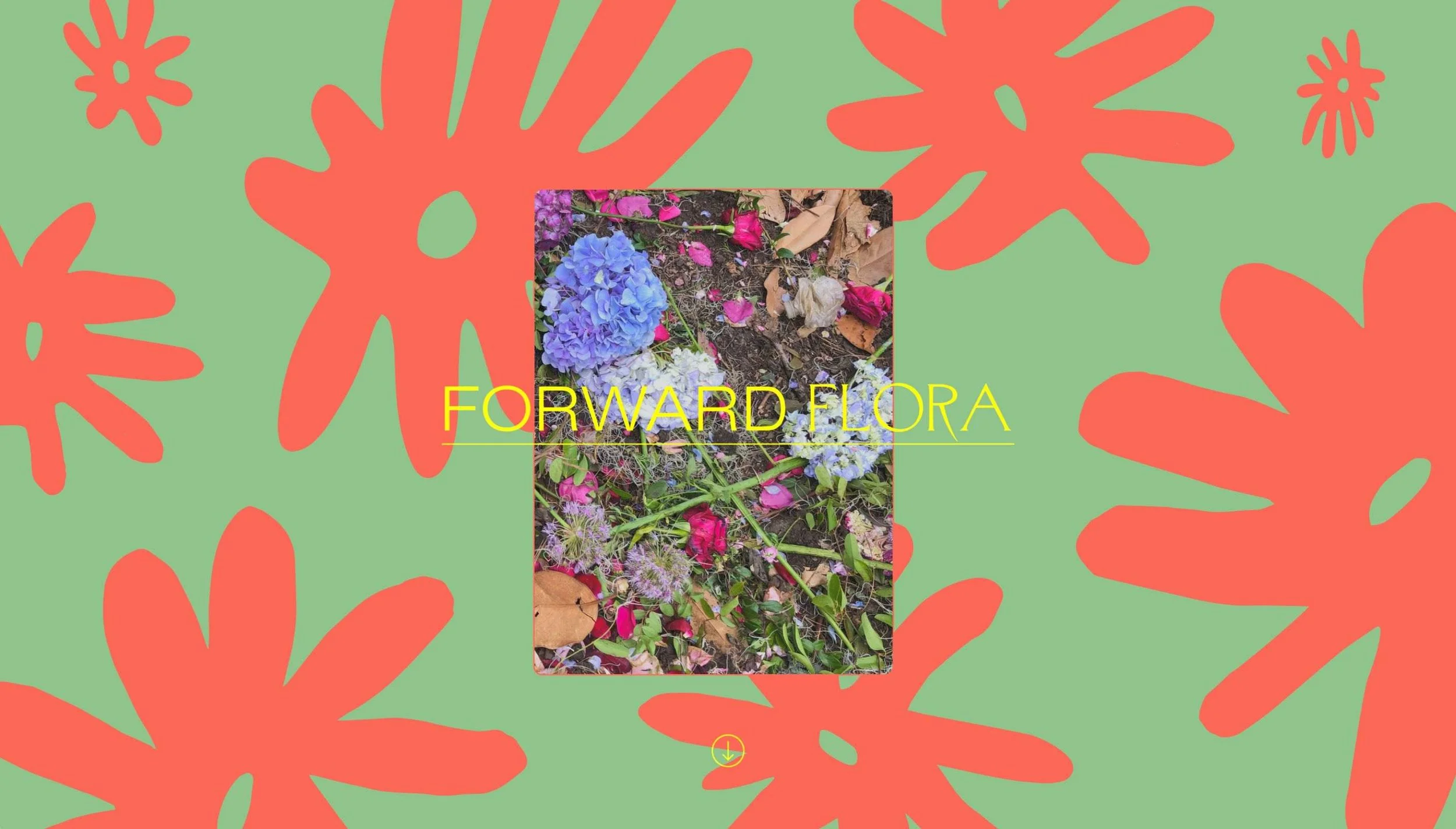 Forward Flora