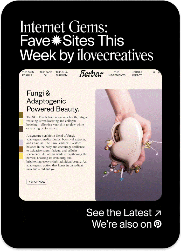 Internet Gems Round Up 3-8-23