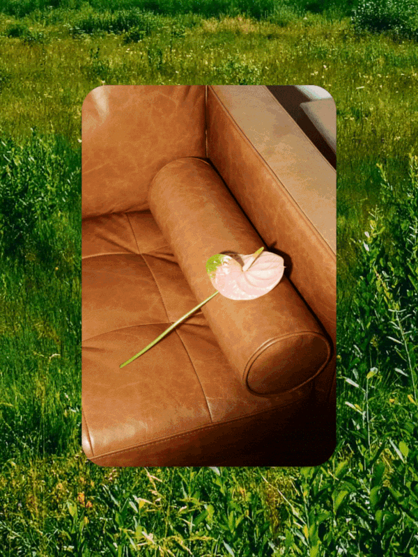 Stock Photo Pack – Flash