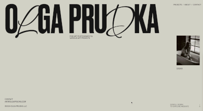 Shrink Logo on Scroll