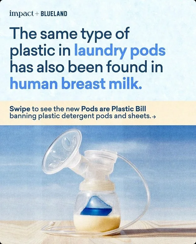 IMPACT X ENVIRONMENT