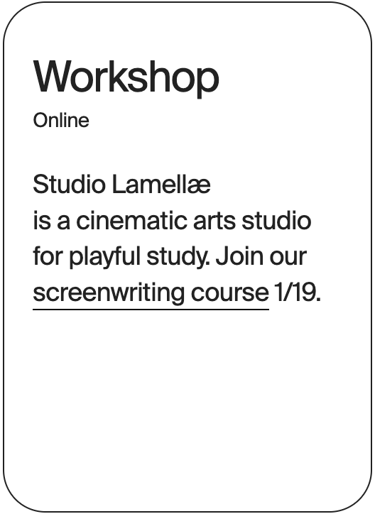 WORKSHOP Online Studio Lamellæ Screenwriting Course 30951