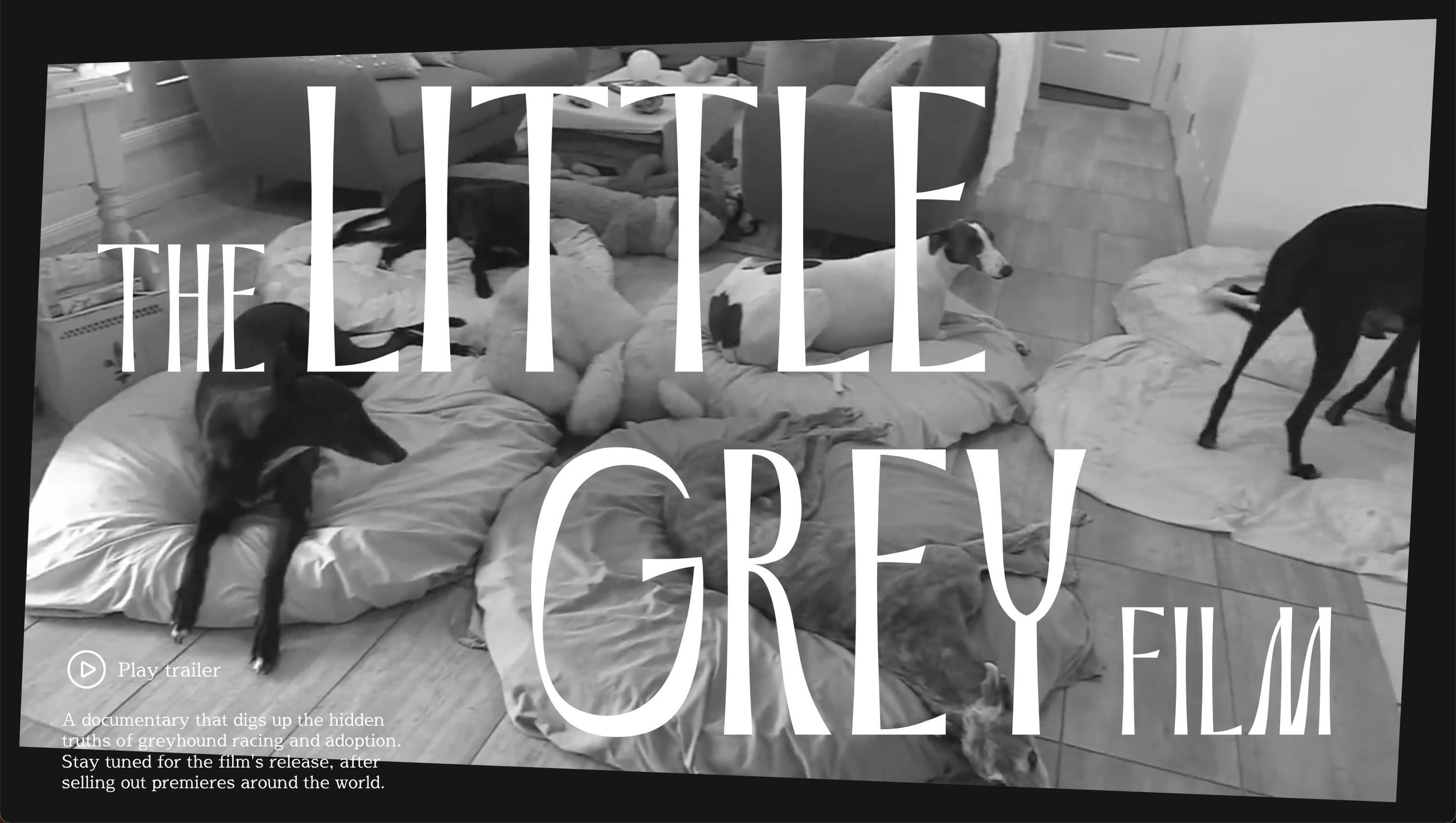 The Little Grey Film
