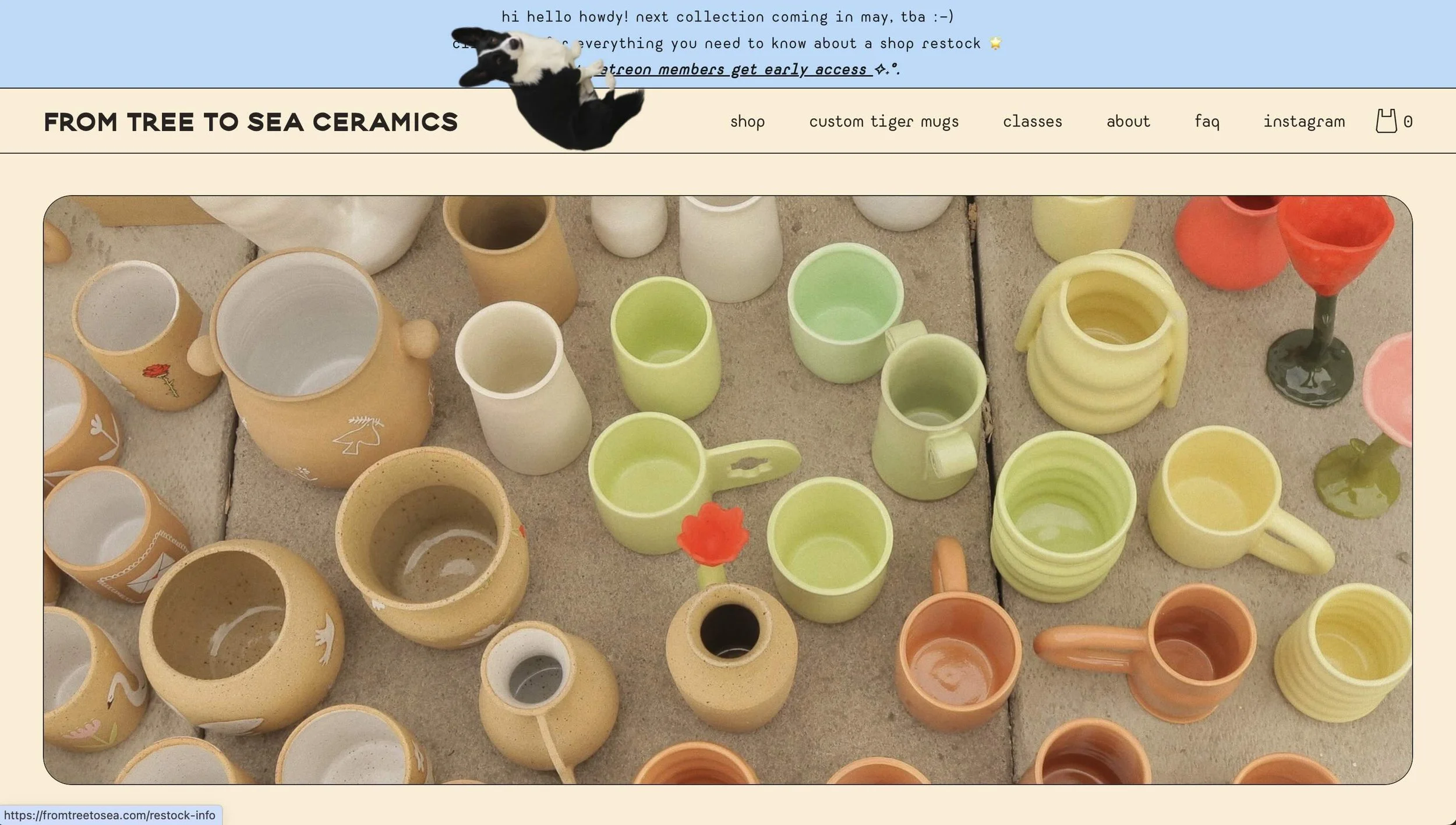 From Tree to Sea Ceramics