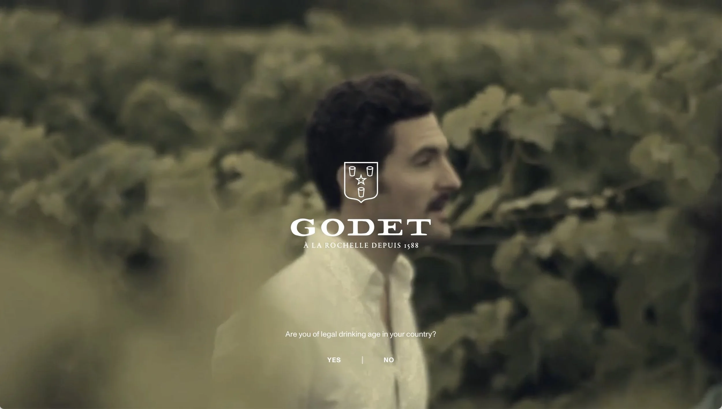 Cognac Godet