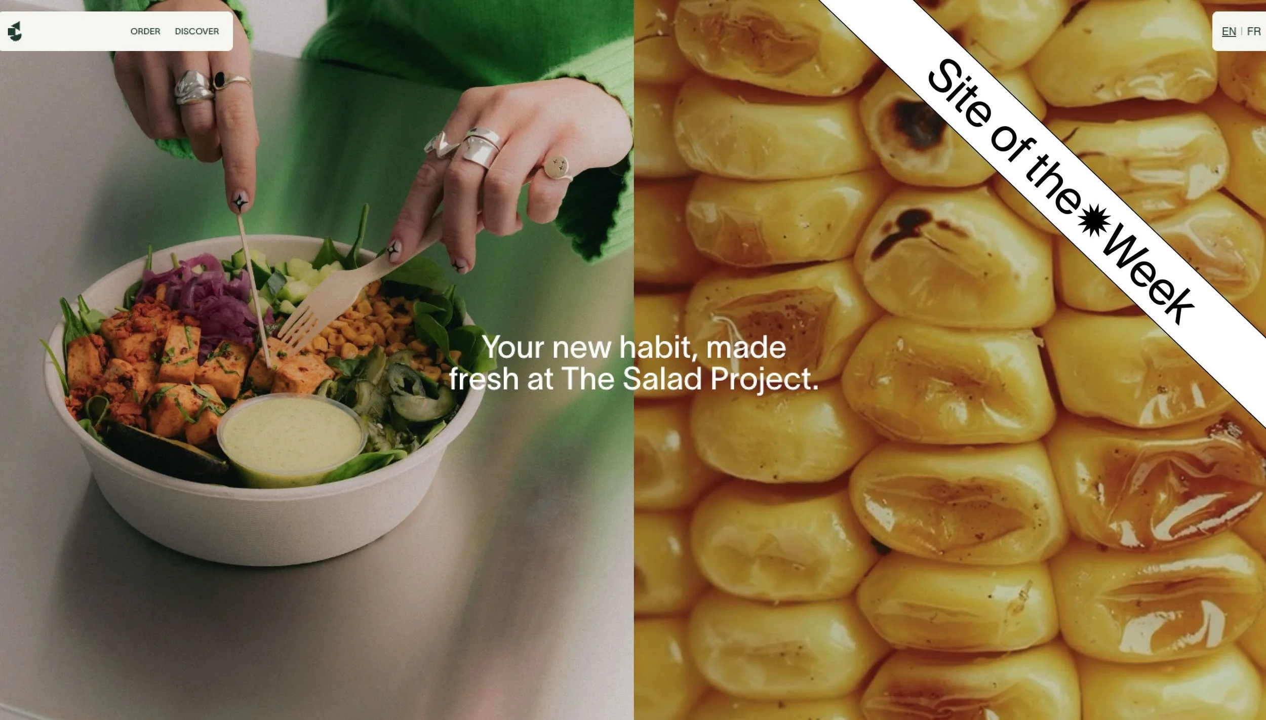 The Salad Project