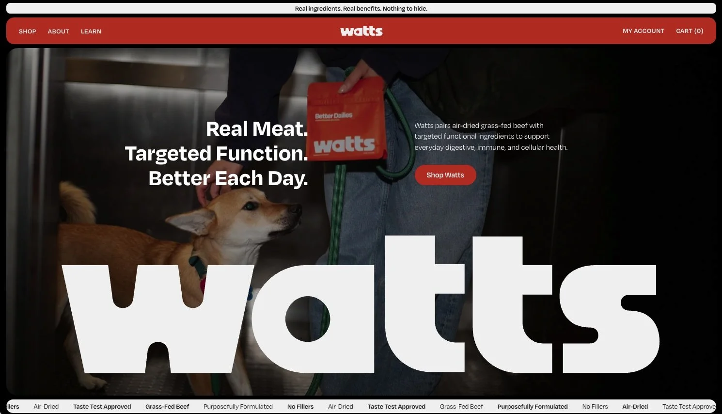 Watts