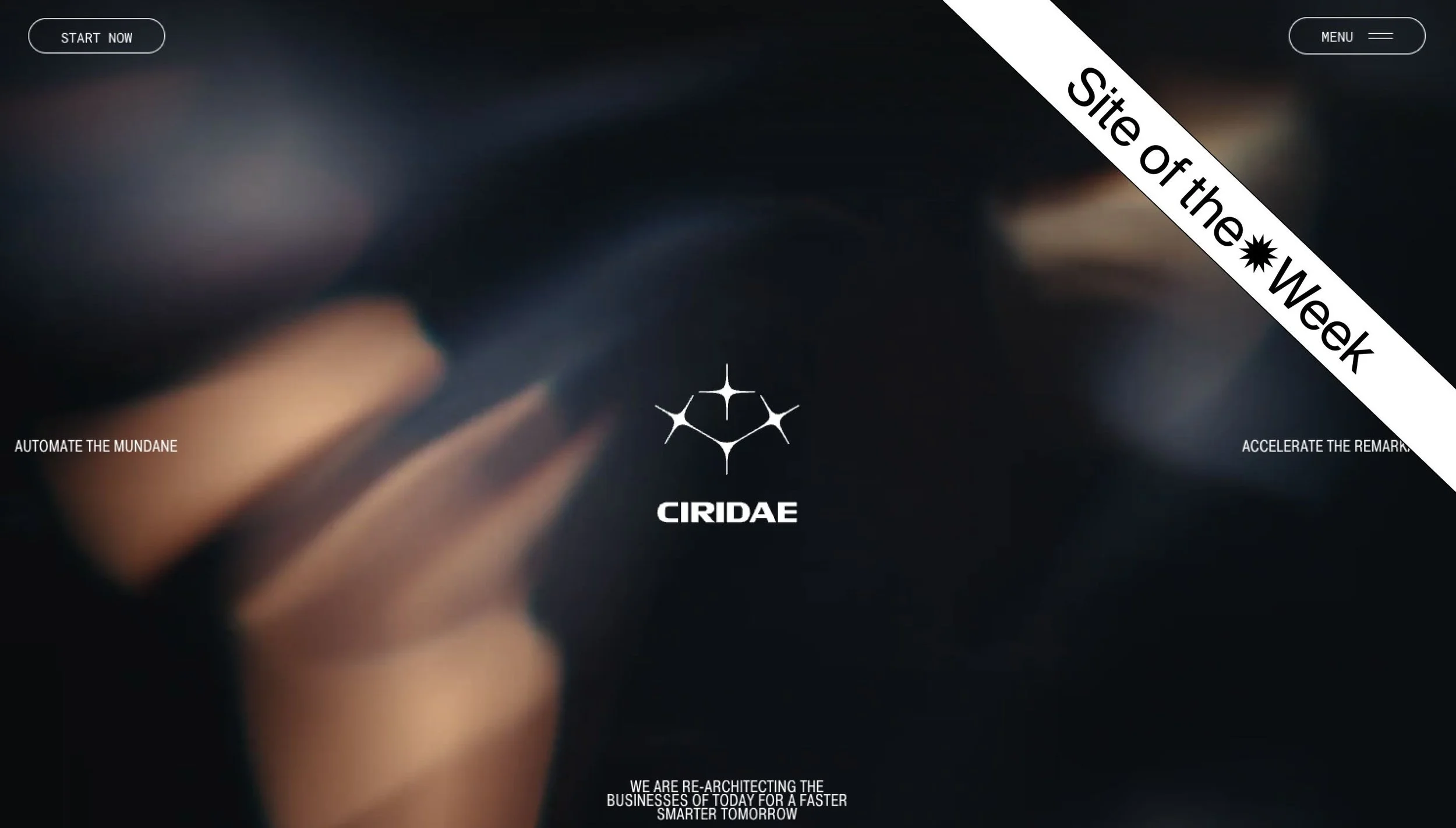 Ciridae
