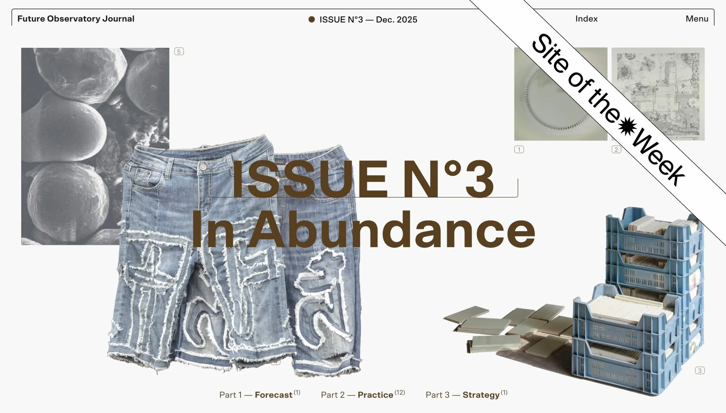 Future Observatory Journal