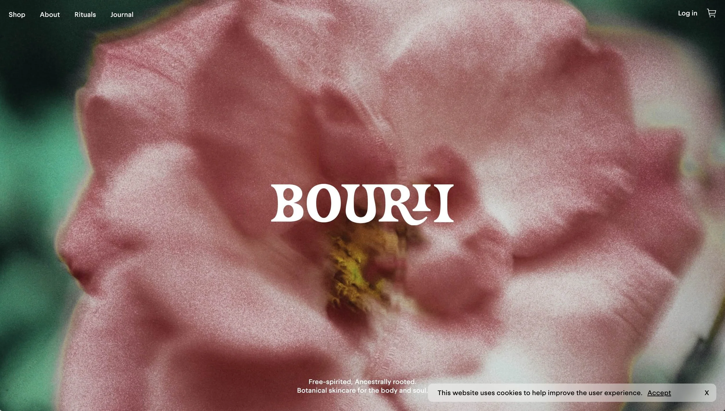 Bourii