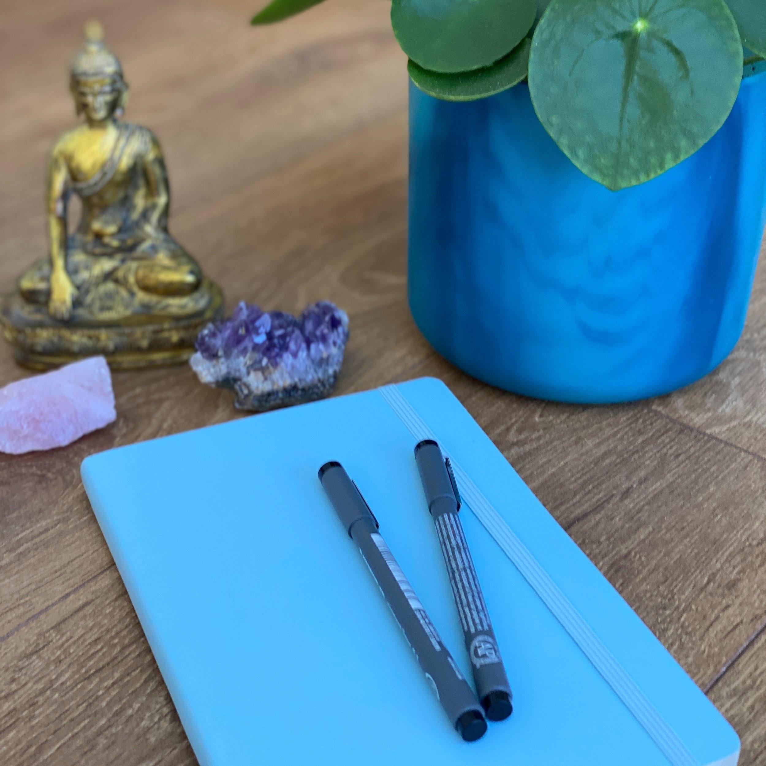 blue journal, pens, plant, crystals and a buddha